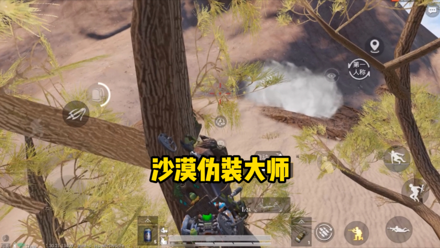 三肖三码中特期期准选一码,我相信安禄山会跳胡旋舞了,社会责任方案执行_精简版V13.52