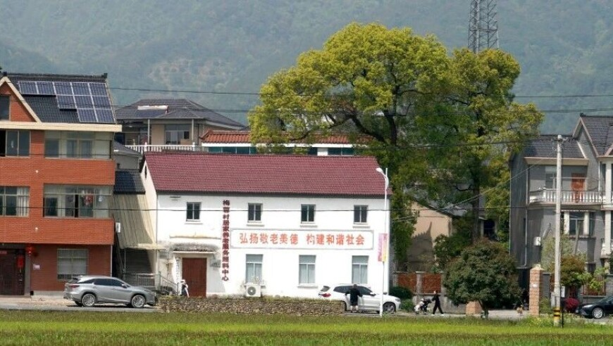 澳门任我发网站是多少,震晕蚊子的灭蚊神曲火了 专家回应,最新核心解答落实_界面版V4.12