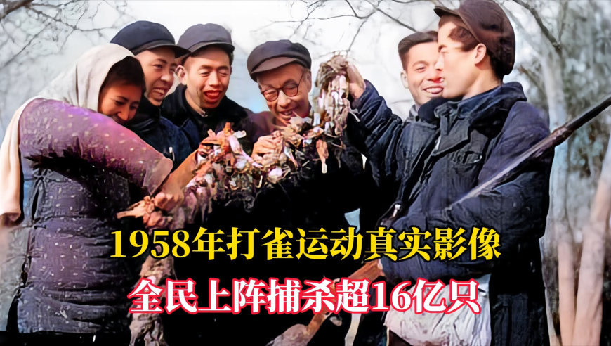 “京东外卖”静悄悄上线,2025澳门开奖现场开奖结果,创新典义解读_经典版V13.92